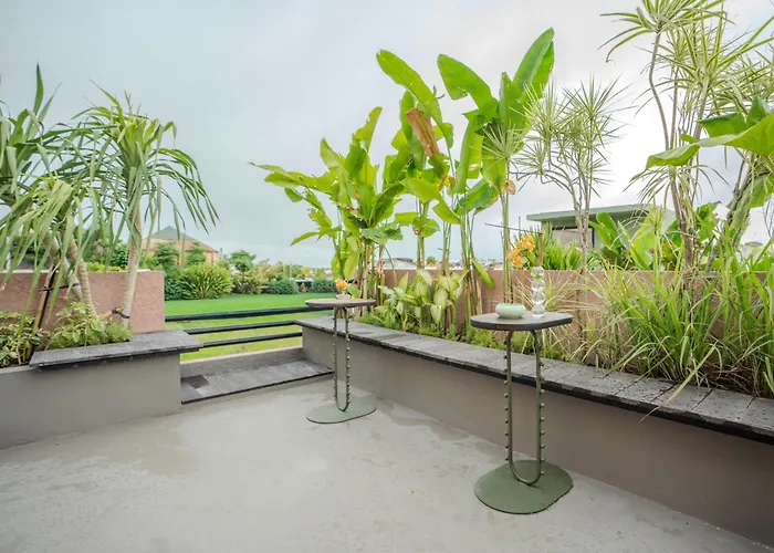 Patha * Canggu